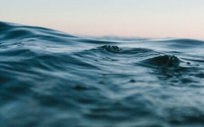 A Promising Development for Detecting Ocean Productivity